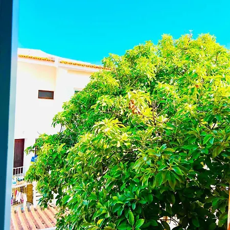 Cascais Seaside Проживание в семье *